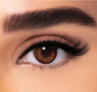 FRESHLOOK COLOR BLENDS BROWN - 2 LENSES