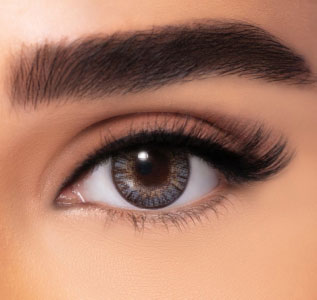 FRESHLOOK COLOR BLENDS GRAY - 2 LENSES