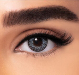 FRESHLOOK COLOR BLENDS STERLING GRAY - 2 LENSES